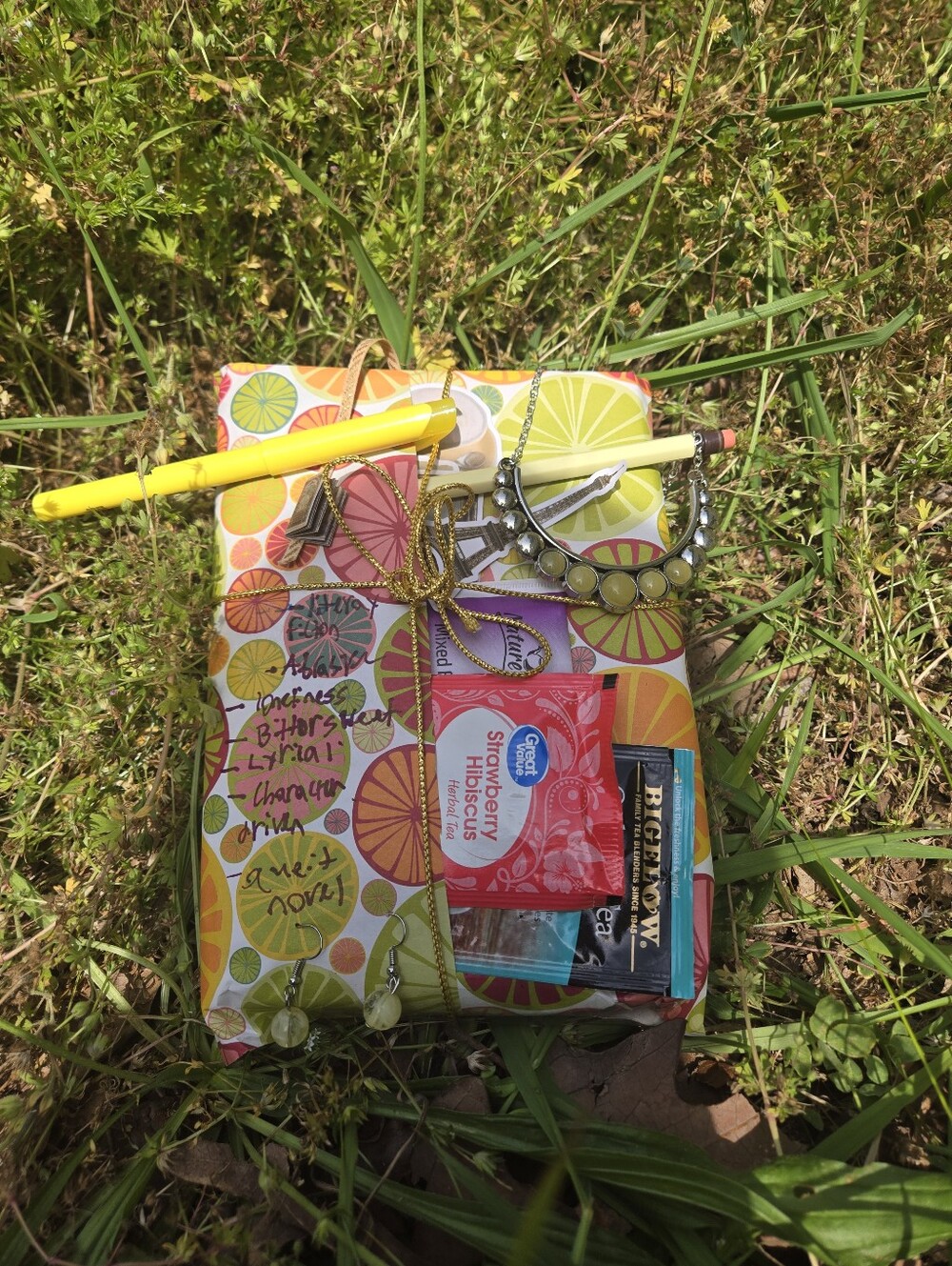 Blind Date With A Book Brand New